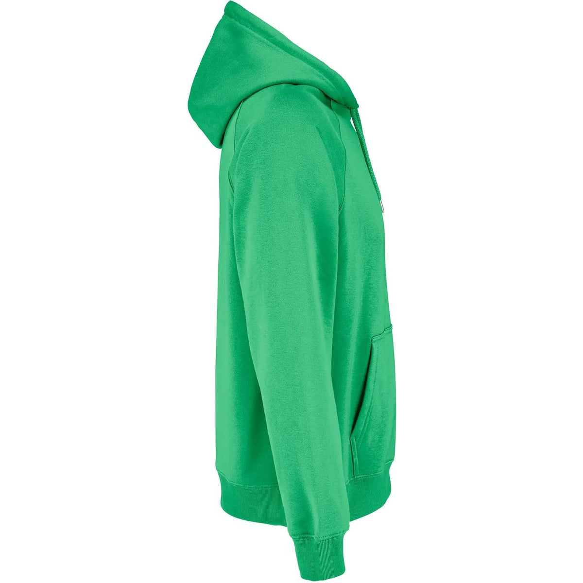 vert, droite