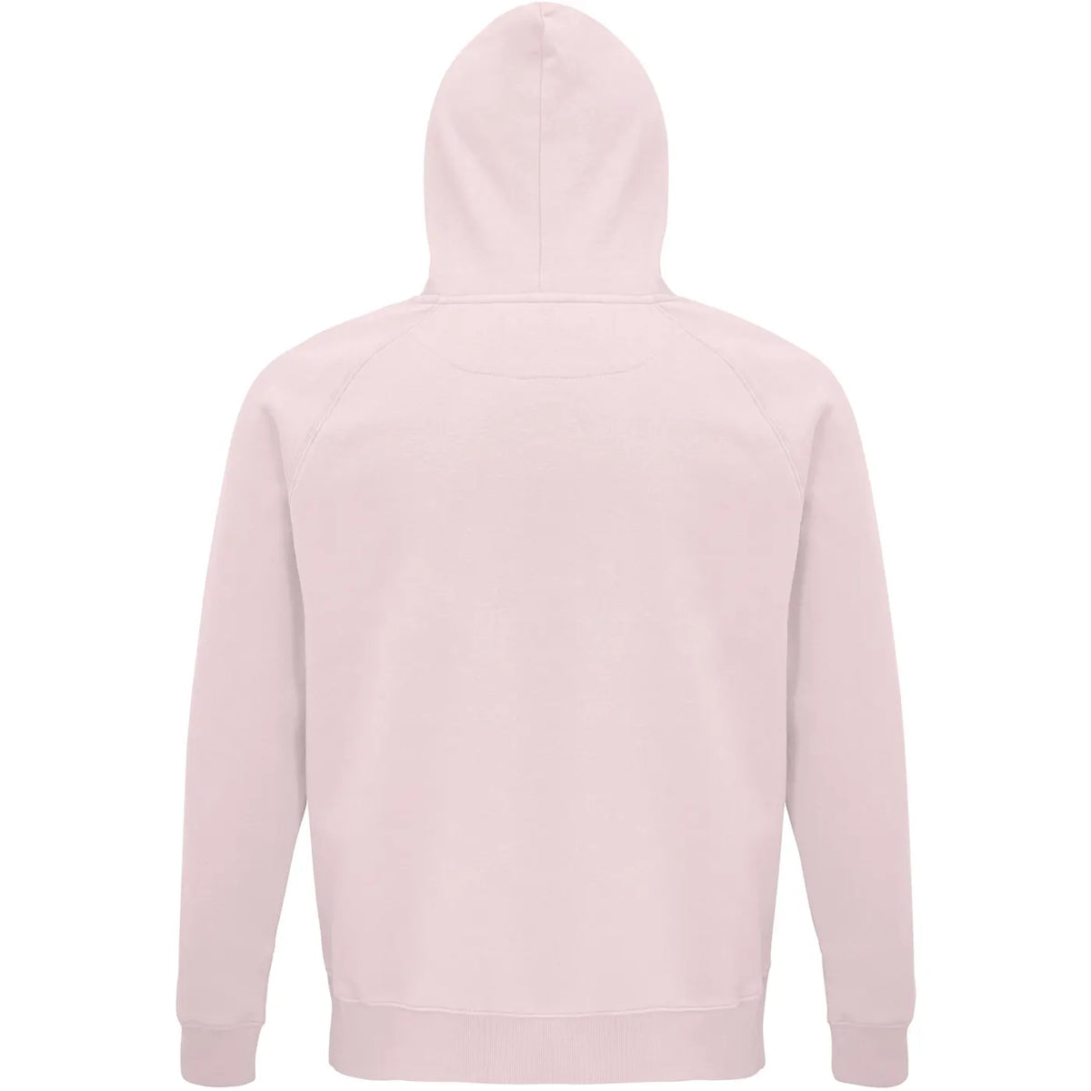 rose pâle, dos