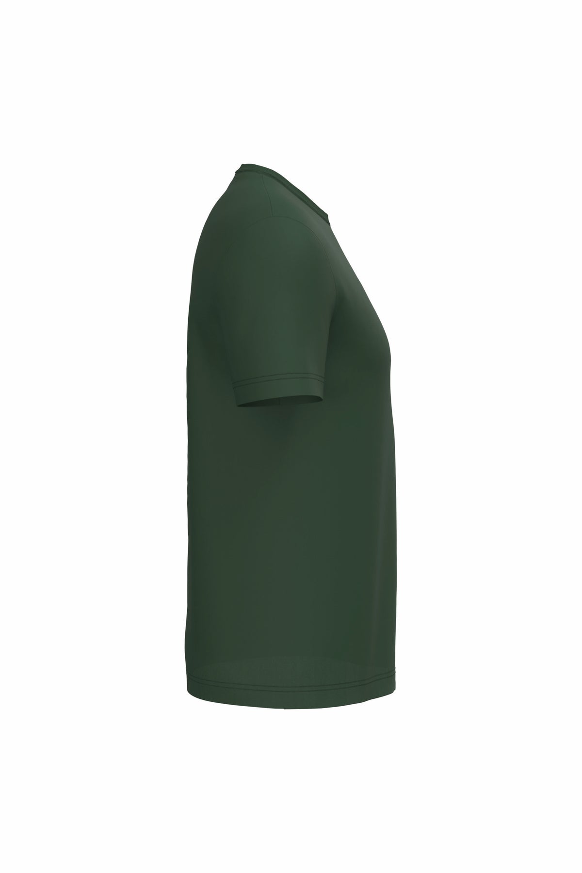 vert sapin, droite