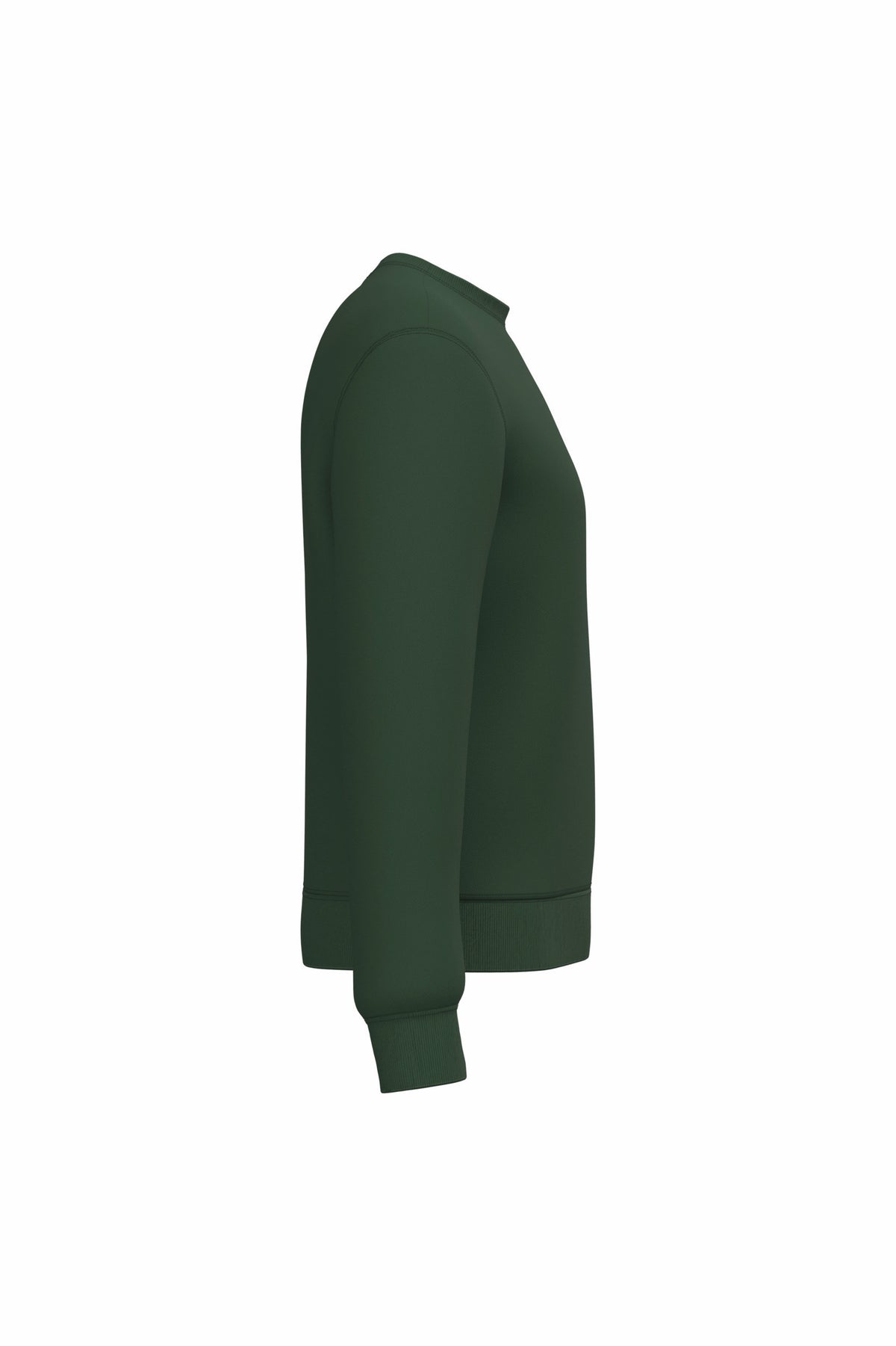 vert forêt, droite