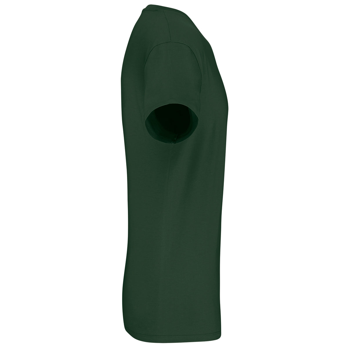 vert sapin, droite