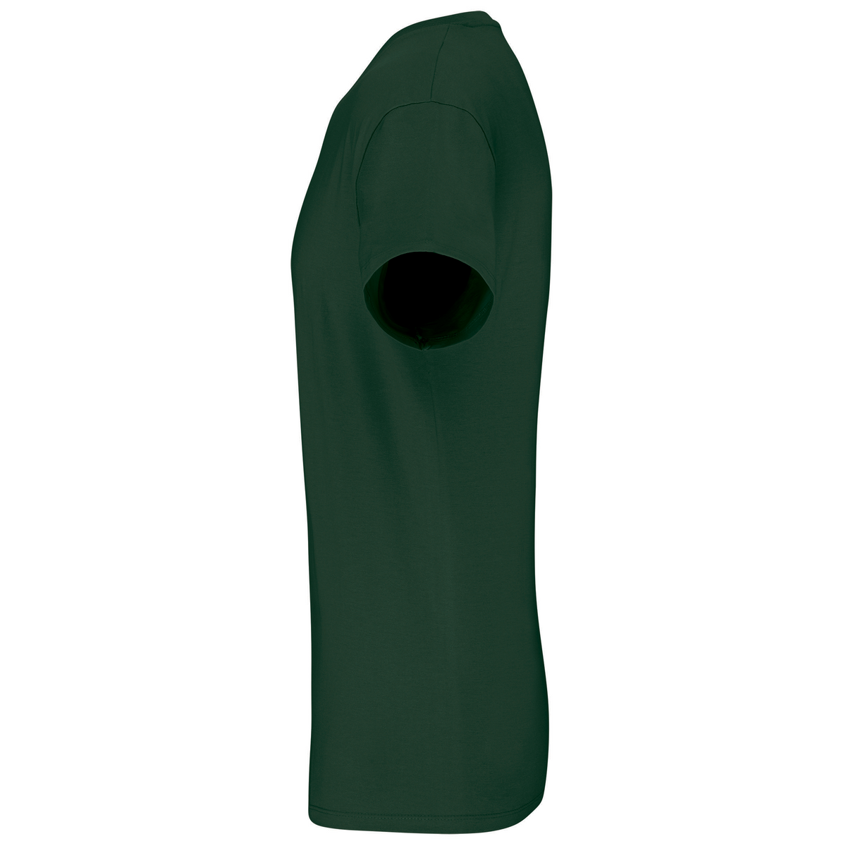 vert sapin, gauche