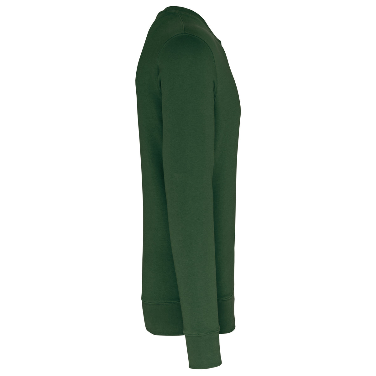 vert sapin, droite