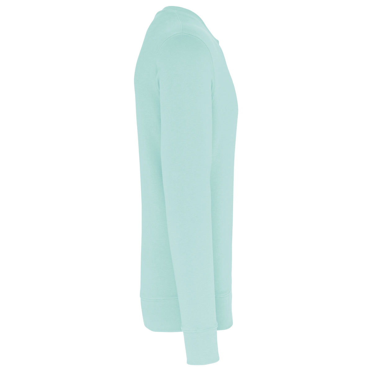 menthe, droite