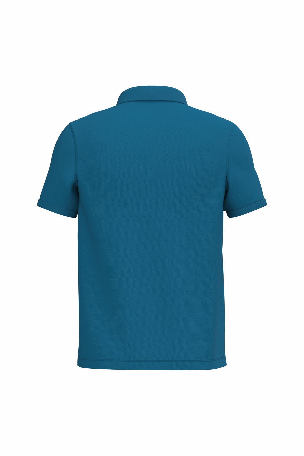 bleu saphir, dos