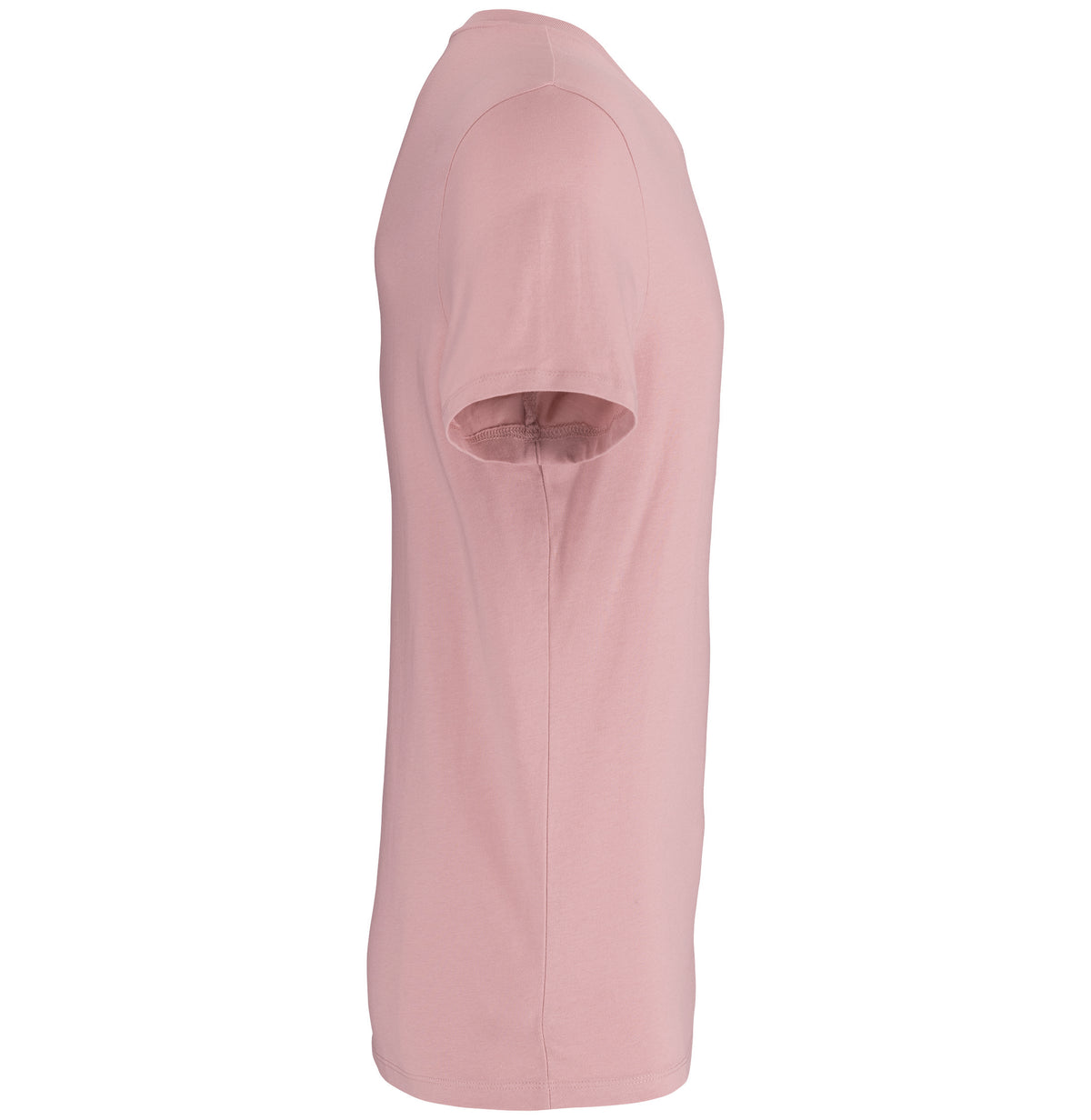 rose pétale, droite