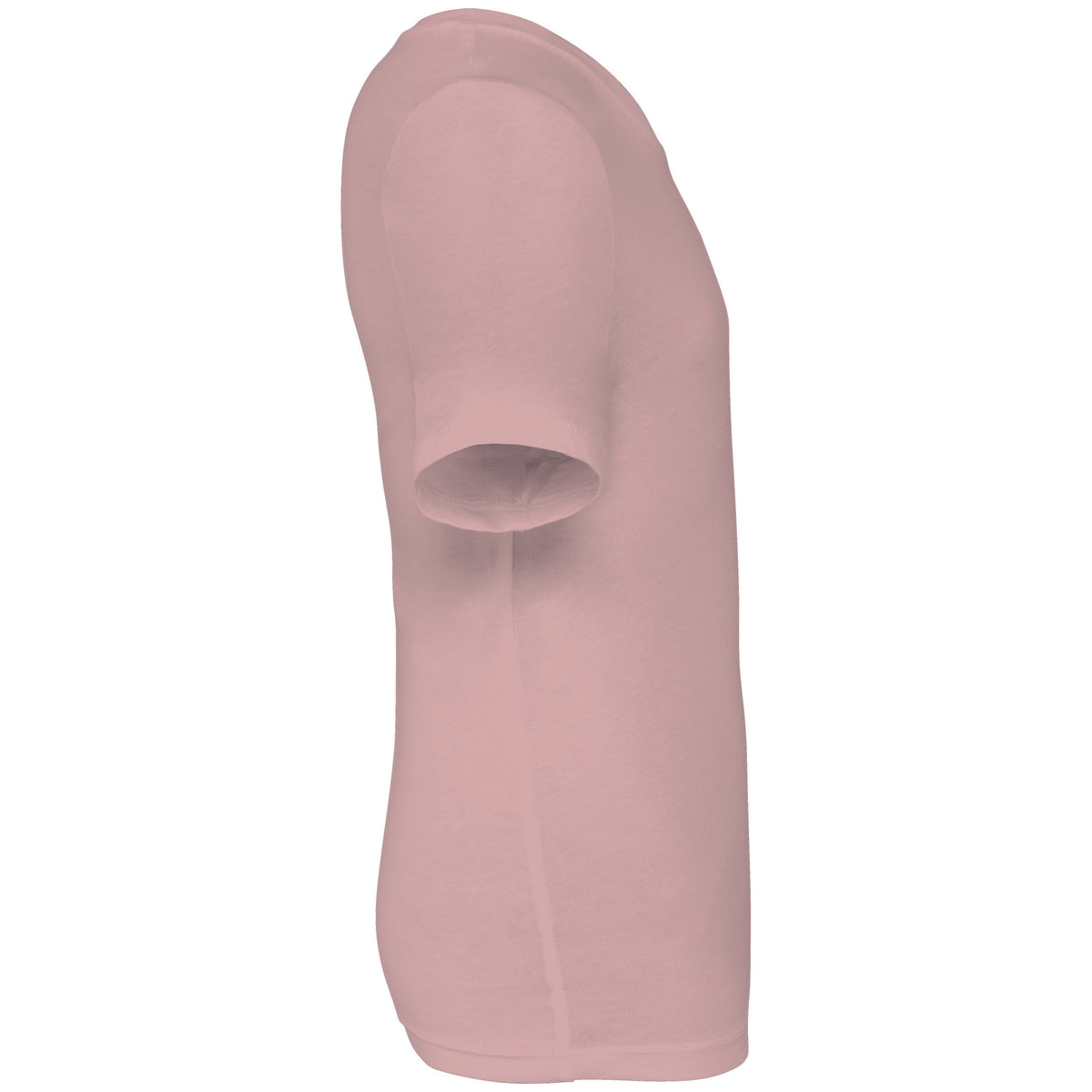 rose pétale, droite