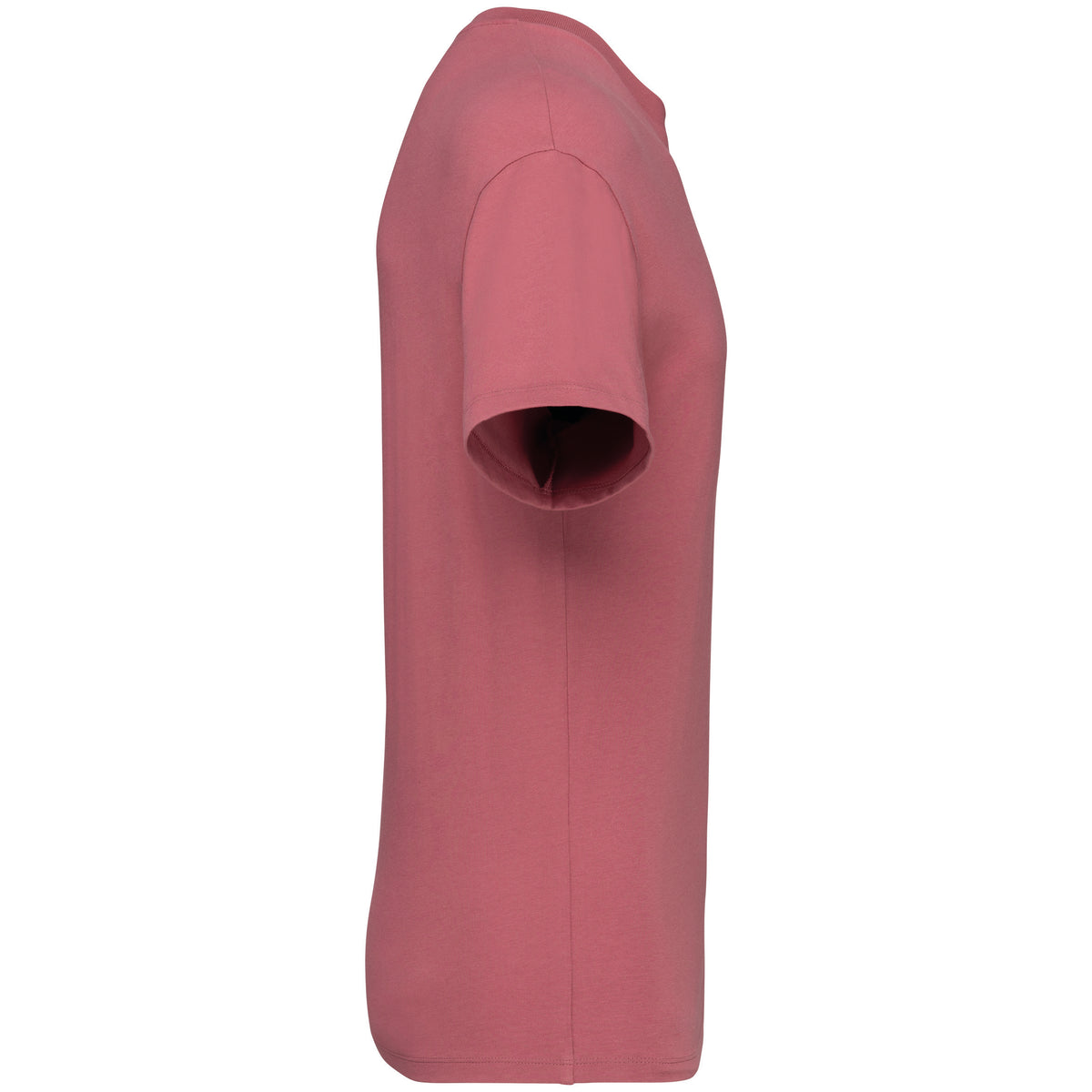 rose antique, droite