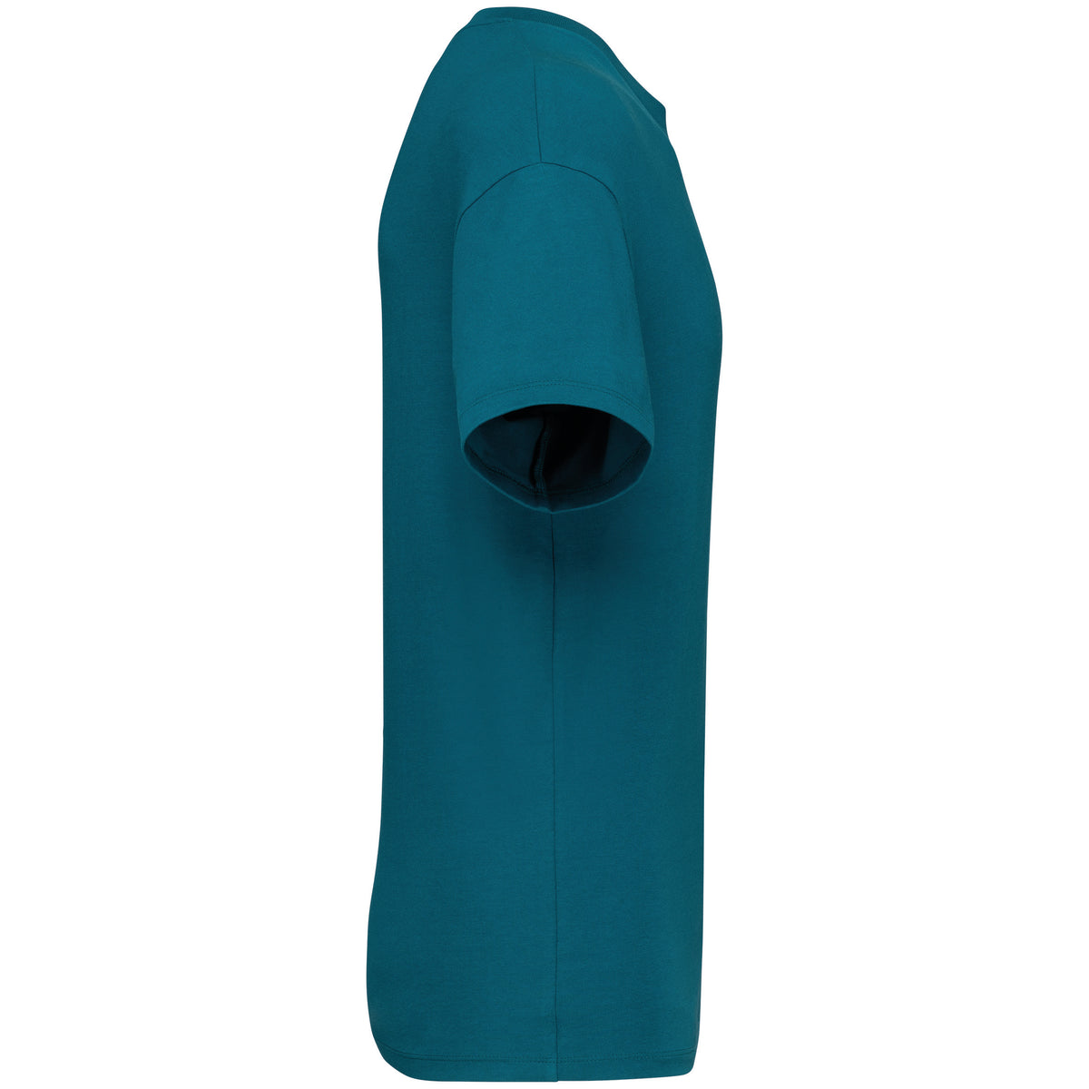 bleu paon, droite