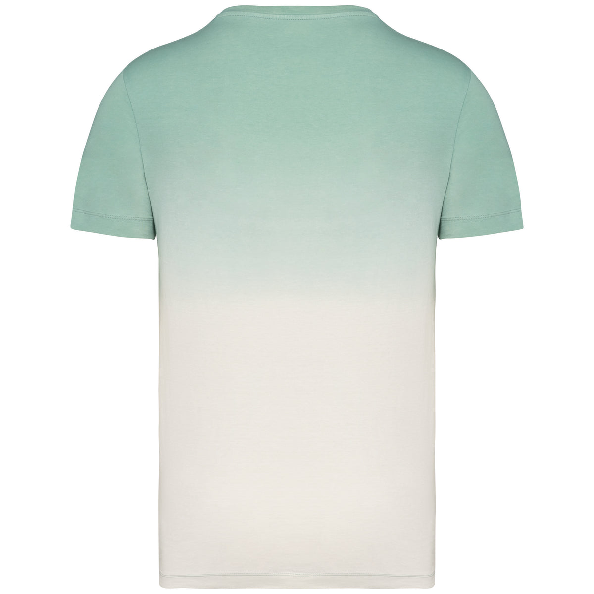 dégradé vert d'eau, dos