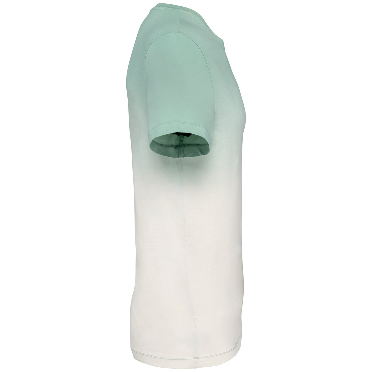 dégradé vert d'eau, droite