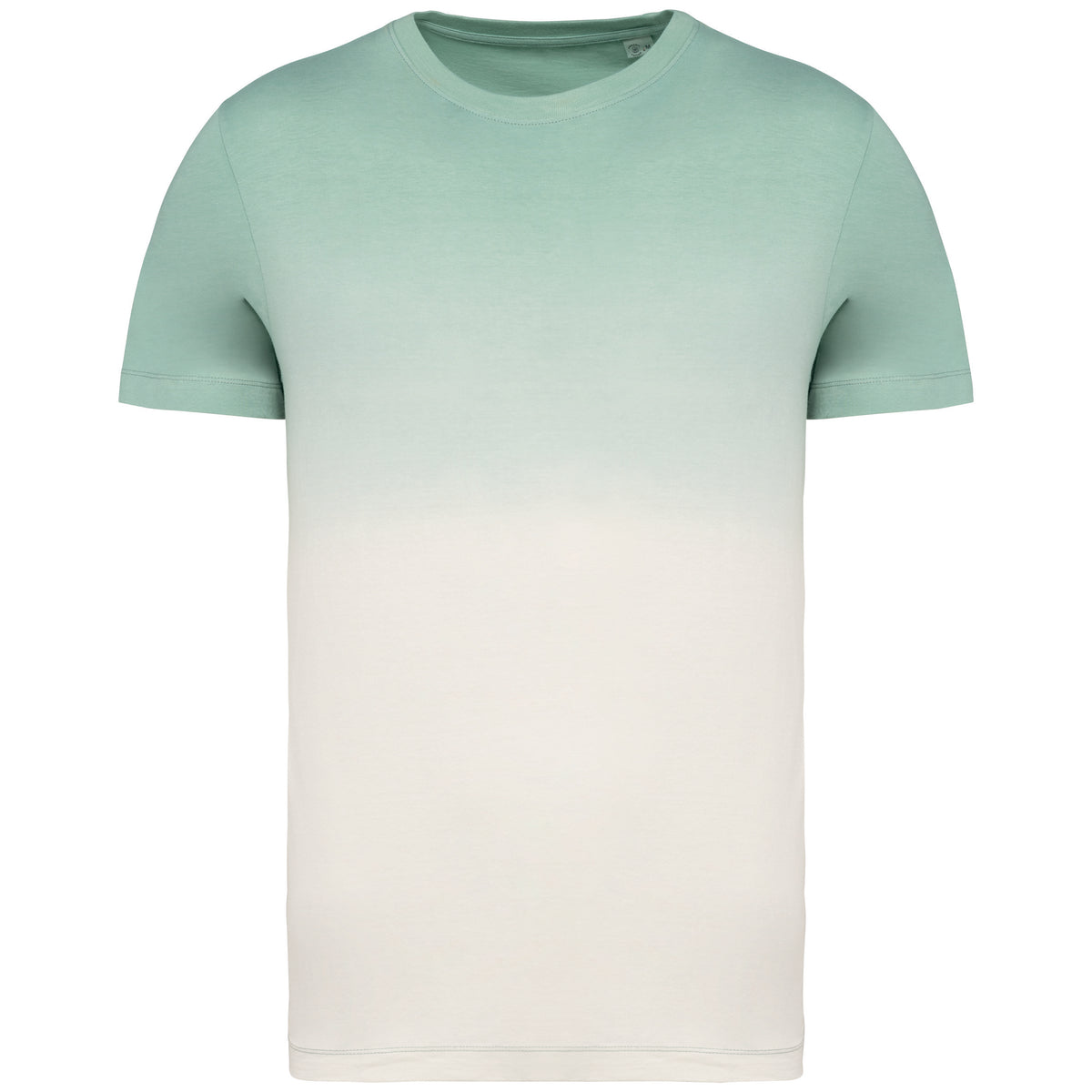 dégradé vert d'eau, avant