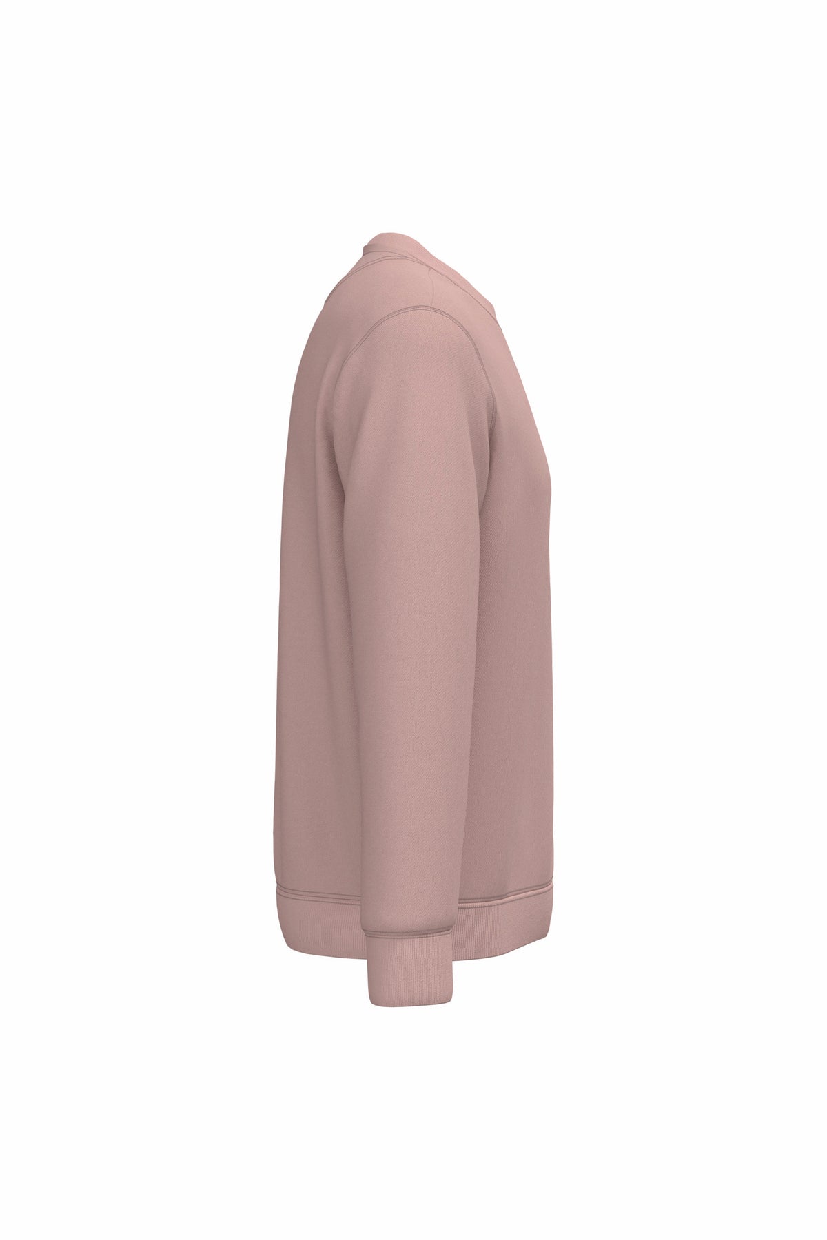 rose pétale, droite