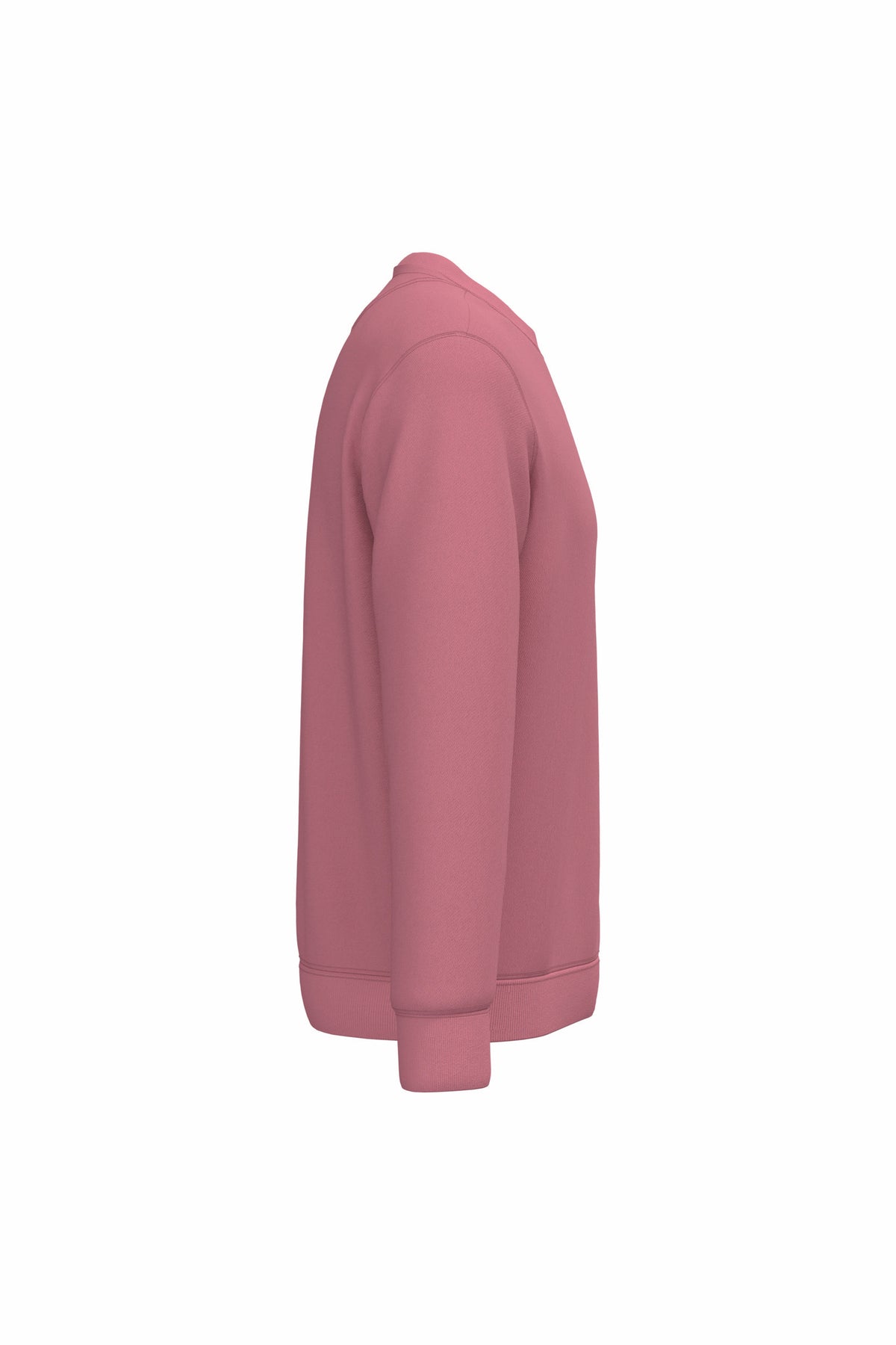 rose antique, droite