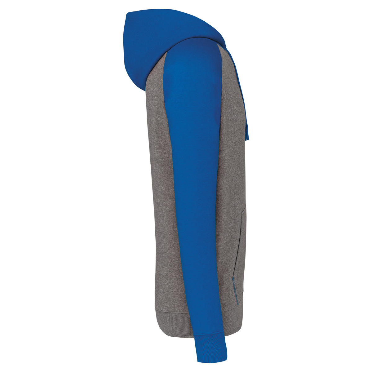 gris, bleu royal, droite
