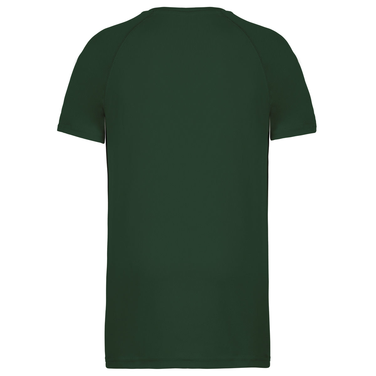 vert sapin, dos