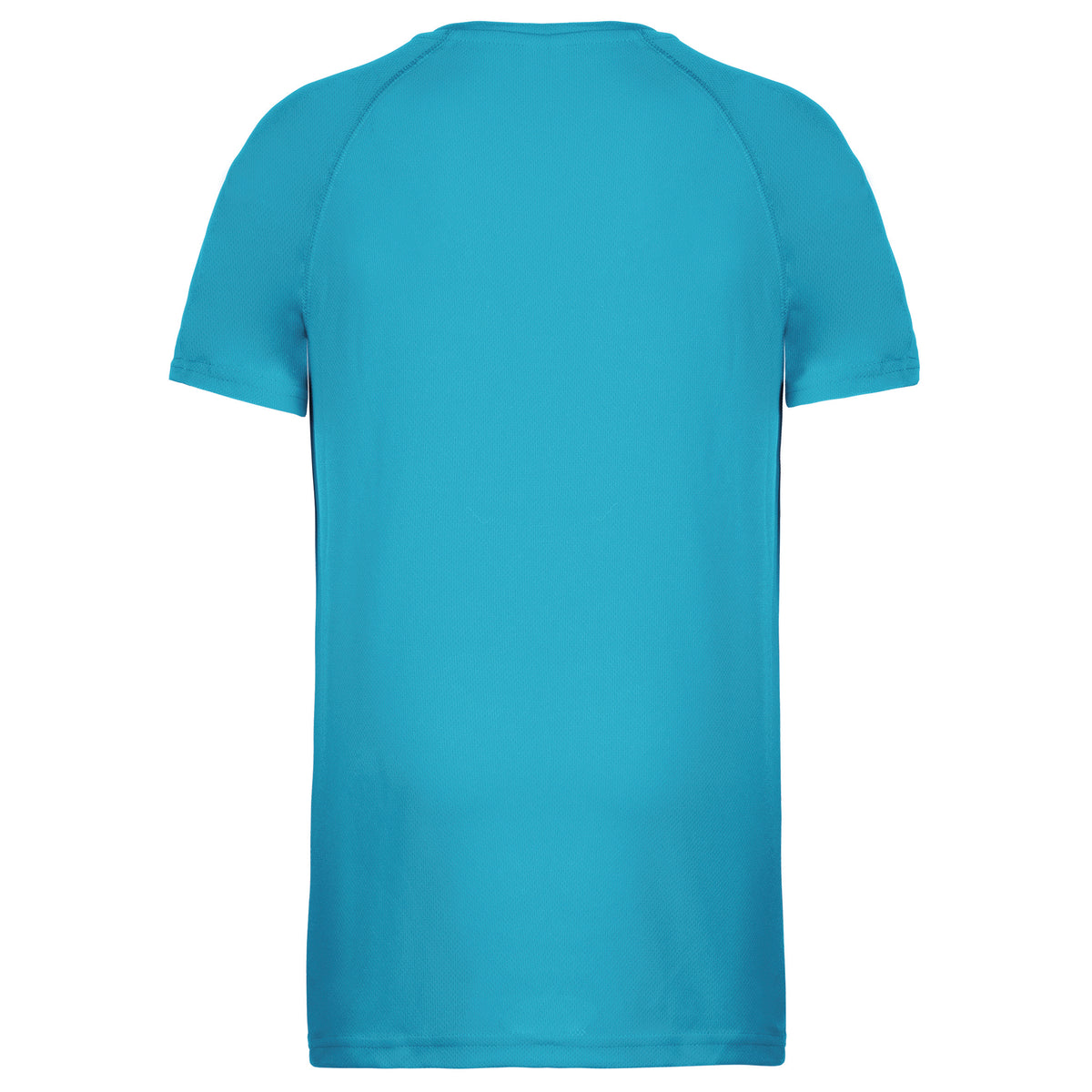 turquoise, dos