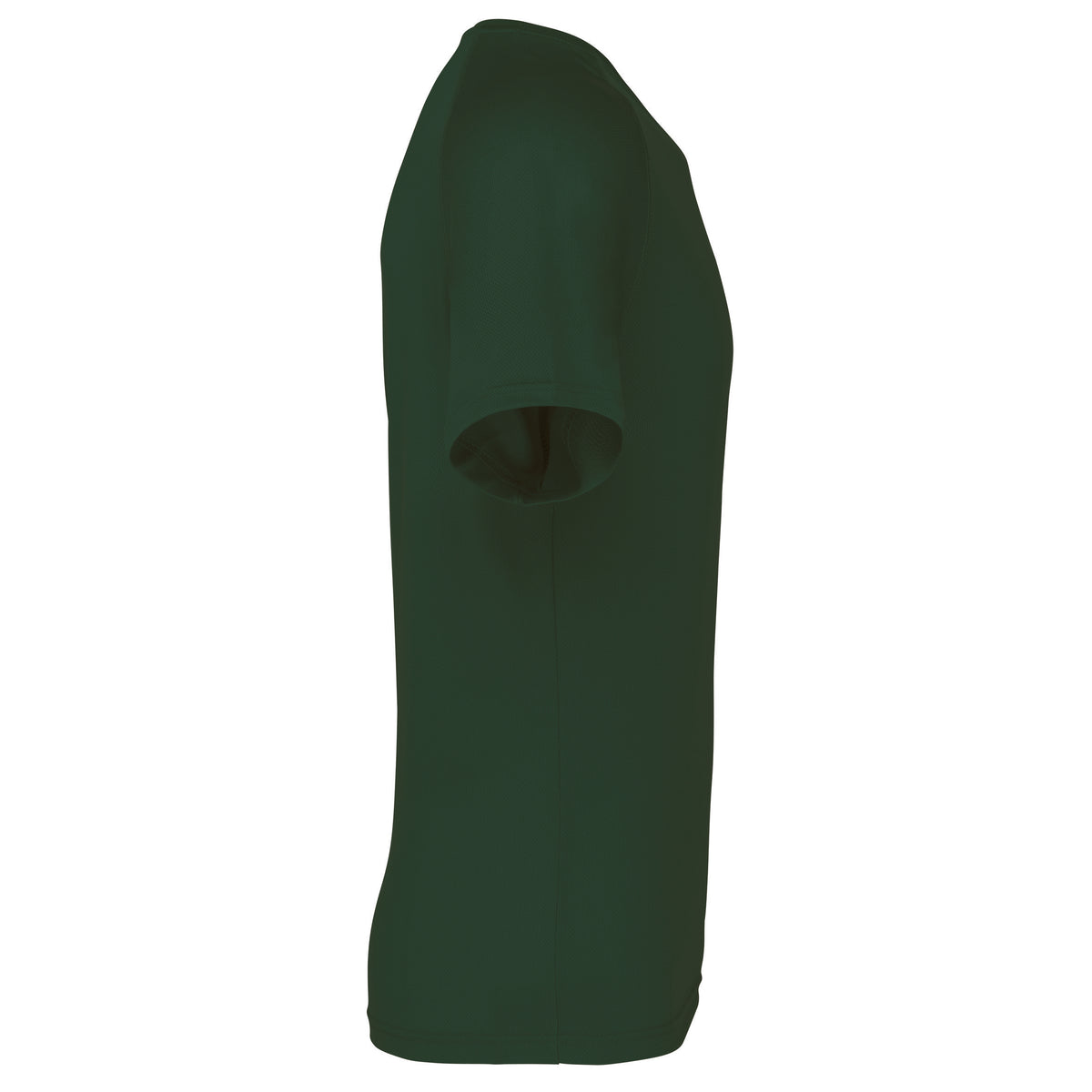 vert sapin, droite